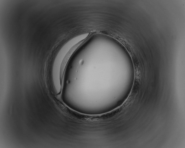 X0000086780742200705111754