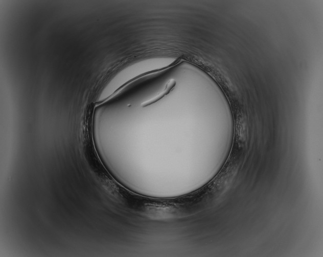 X0000086780743200705111754