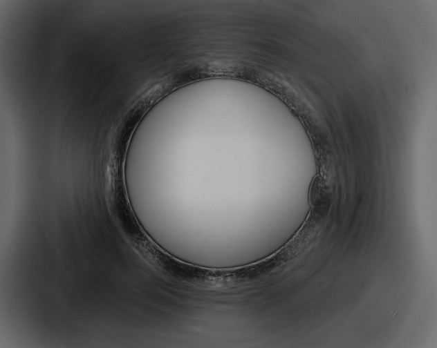 X0000086780744200705111754