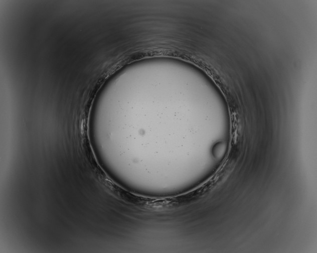 X0000086780745200705111754