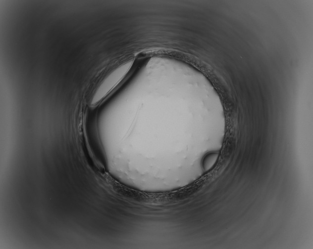 X0000086780746200705111754