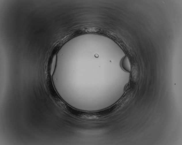 X0000086780747200705111754