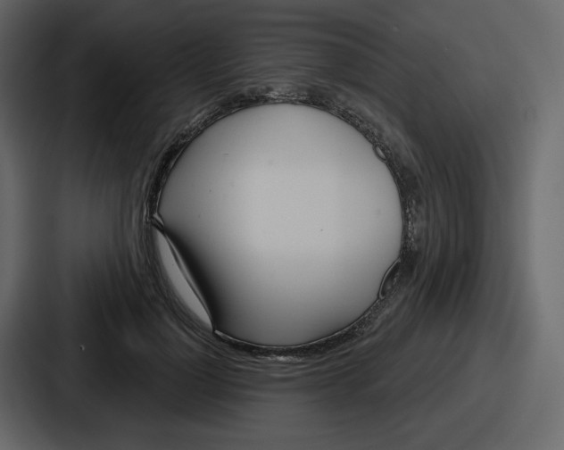 X0000086780748200705111755