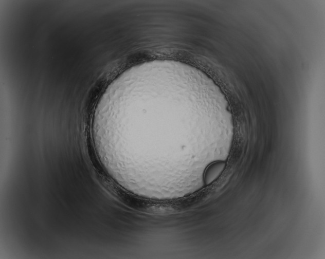 X0000086780749200705111755