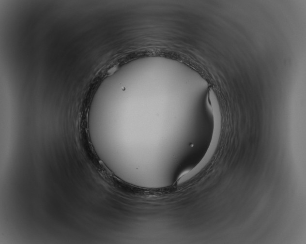 X0000086780750200705111755