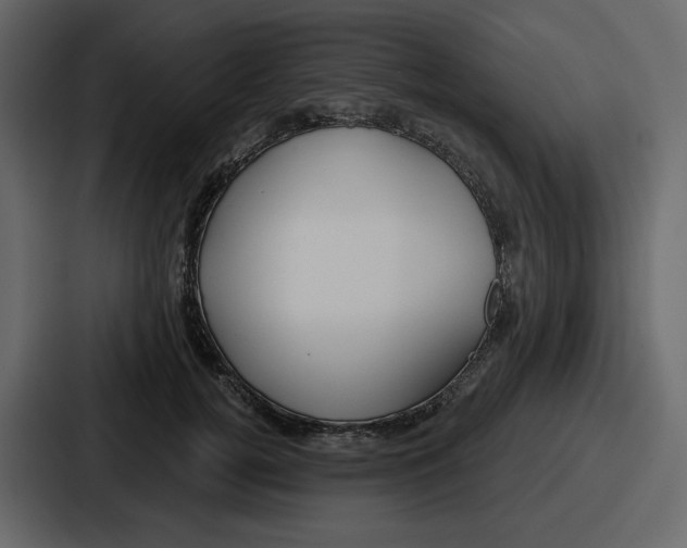 X0000086780752200705111755