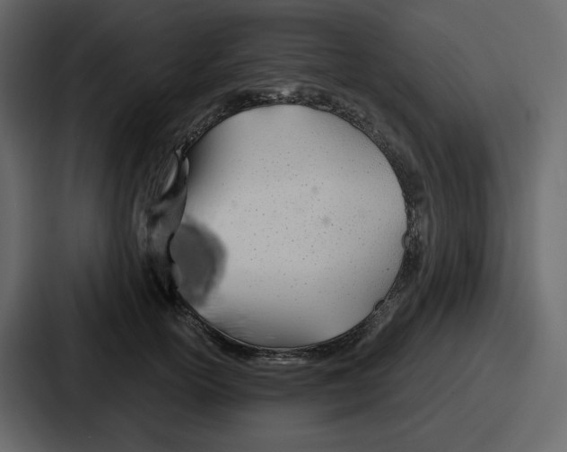 X0000086780754200705111755