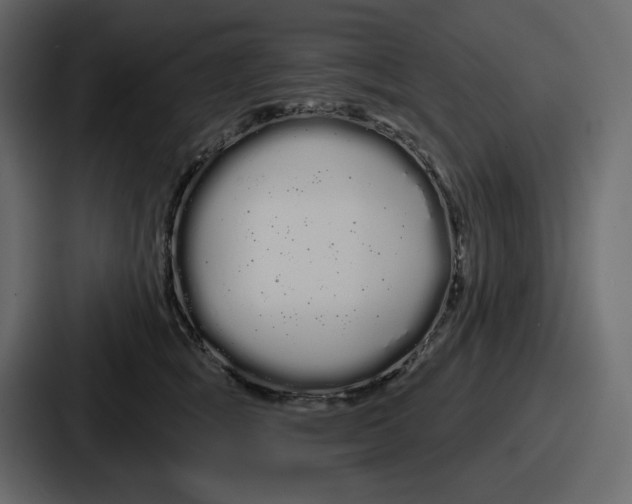 X0000086780757200705111755