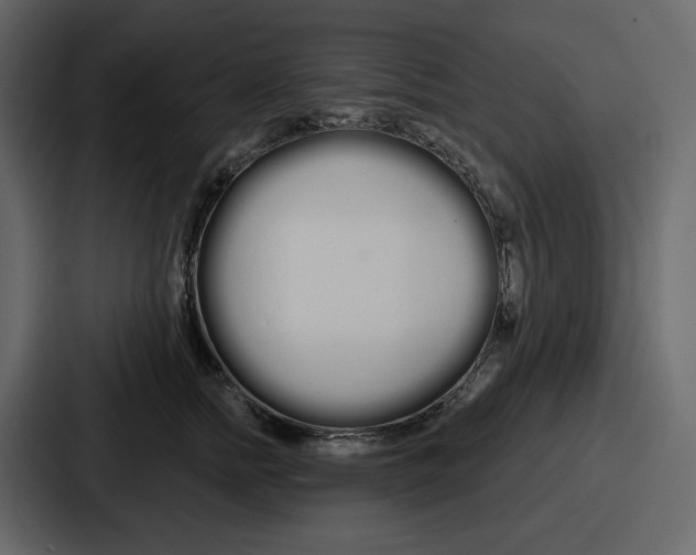 X0000086780758200705111755