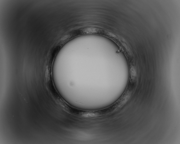 X0000086780759200705111755