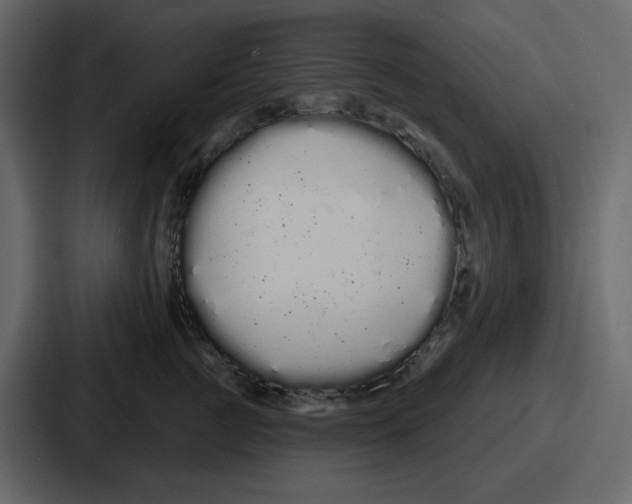 X0000086780761200705111755