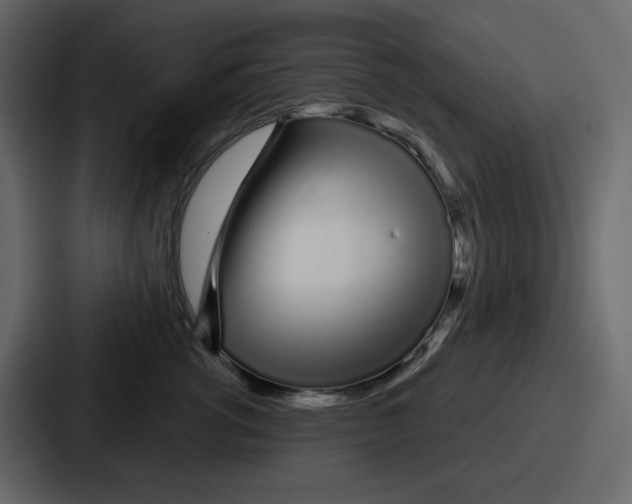 X0000086780762200705111755