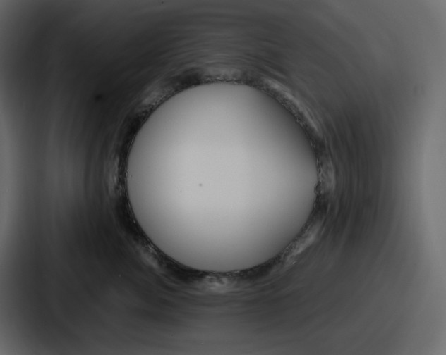 X0000086780764200705111755