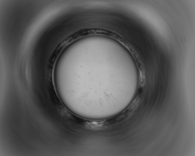 X0000086780765200705111755