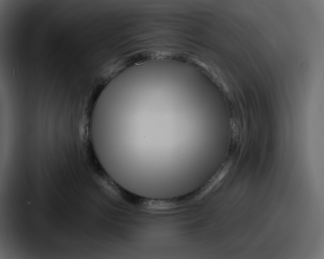 X0000086780766200705111755