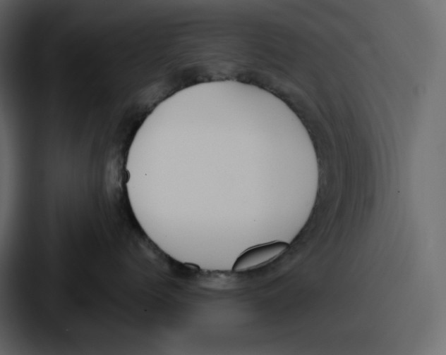 X0000086780768200705111755