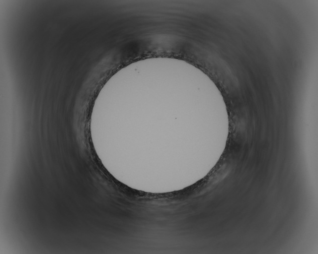 X0000086780769200705111754