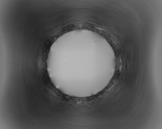 X0000086780770200705111754