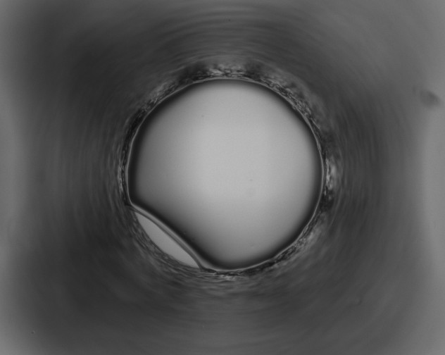 X0000086780772200705111754