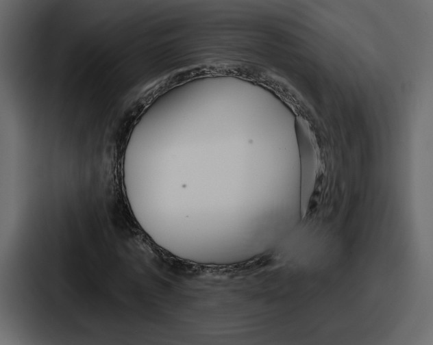 X0000086780773200705111754