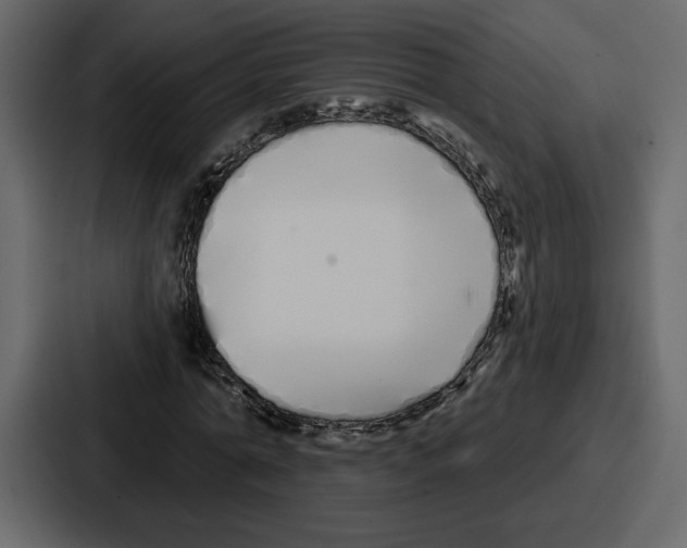 X0000086780774200705111754