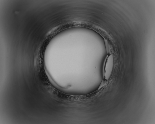 X0000086780776200705111754