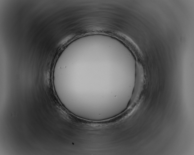 X0000086780777200705111754