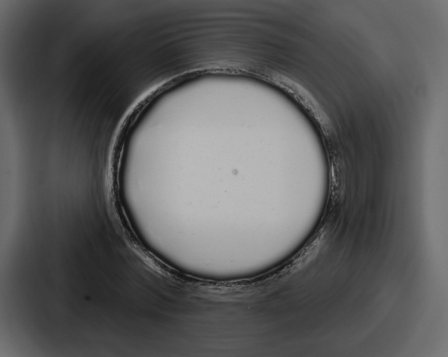 X0000086780780200705111754