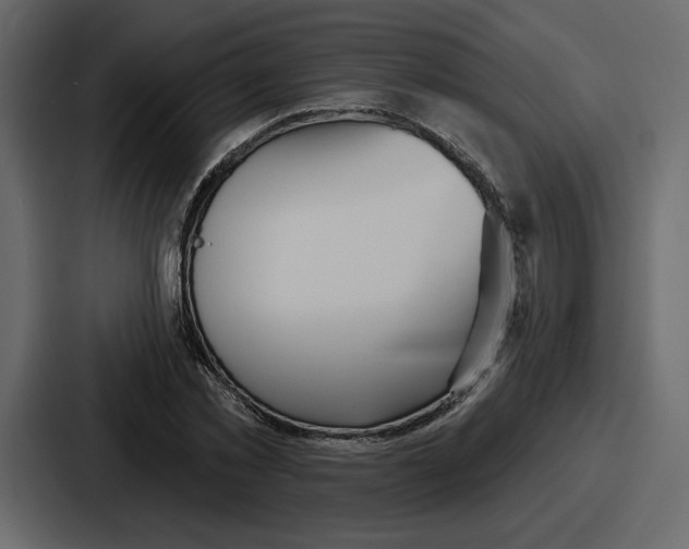 X0000086780781200705111754