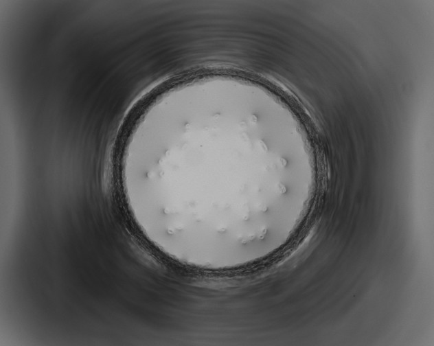 X0000086780782200705111754