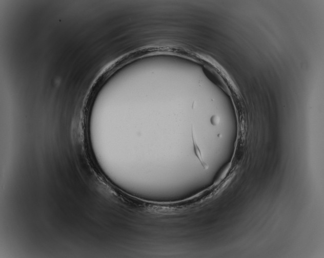 X0000086780783200705111754