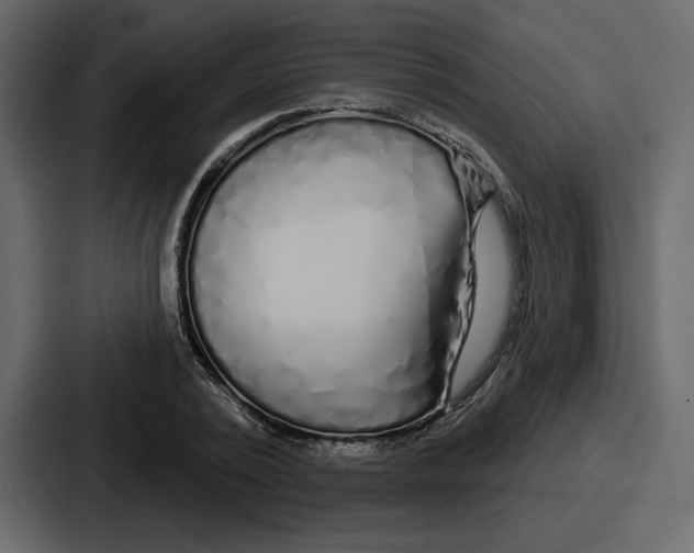 X0000086780784200705111754