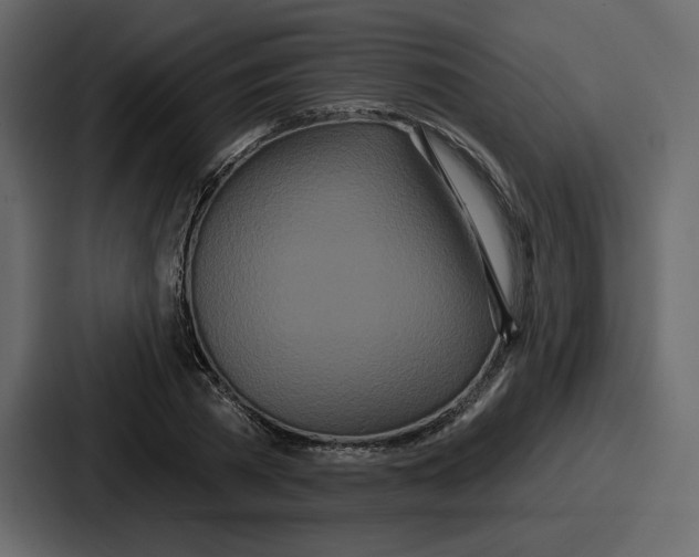 X0000086780785200705111754