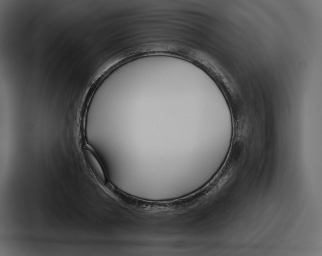 X0000086780786200705111754