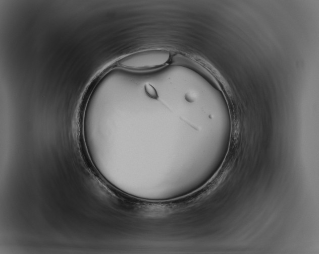 X0000086780787200705111754