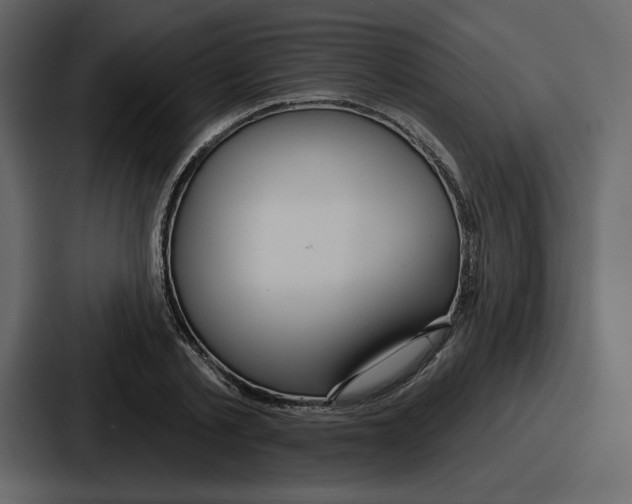 X0000086780789200705111754