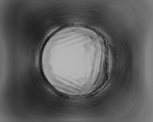 X0000086780790200705111754