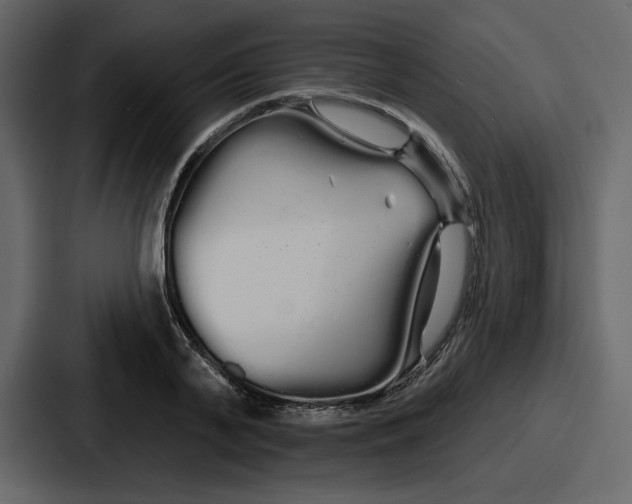 X0000086780791200705111754