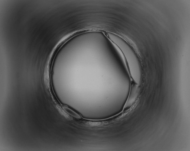 X0000086780792200705111754