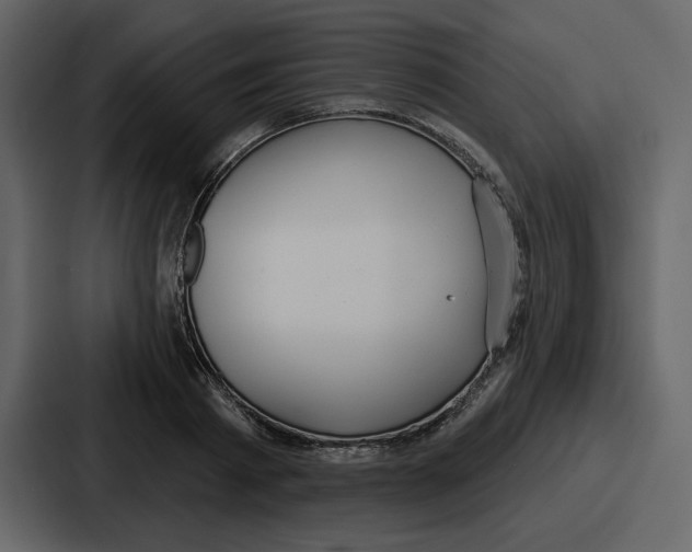 X0000086780793200705111754