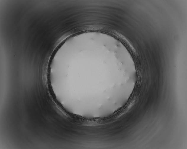 X0000086780794200705111754