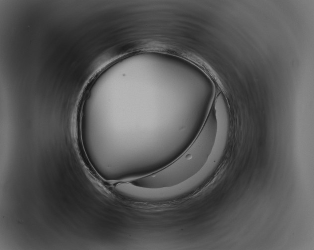 X0000086780795200705111754