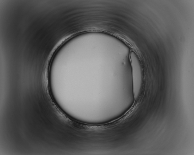 X0000086780796200705111754