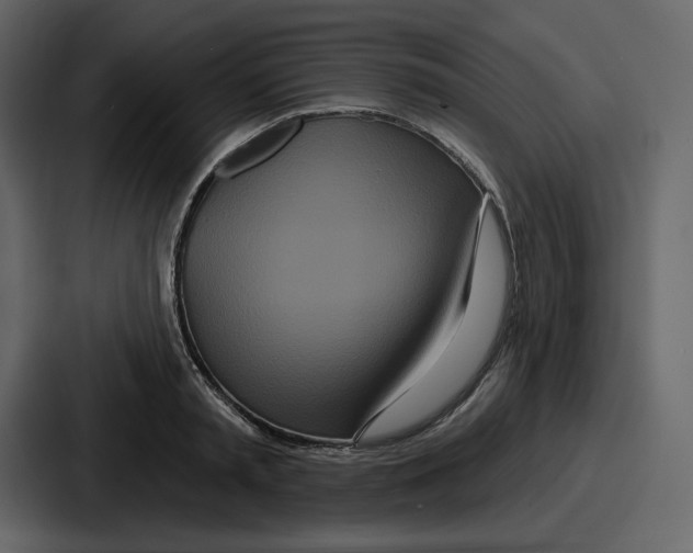 X0000086780797200705111754