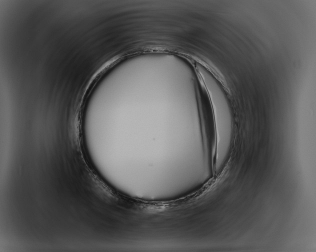 X0000086780798200705111754