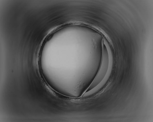 X0000086780799200705111754