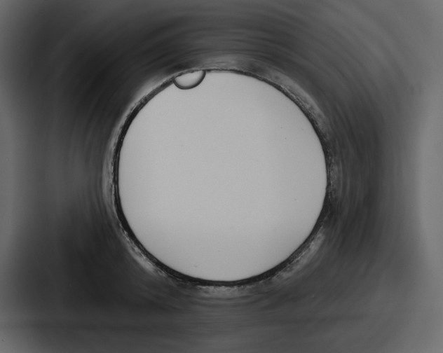 X0000086780800200705111754