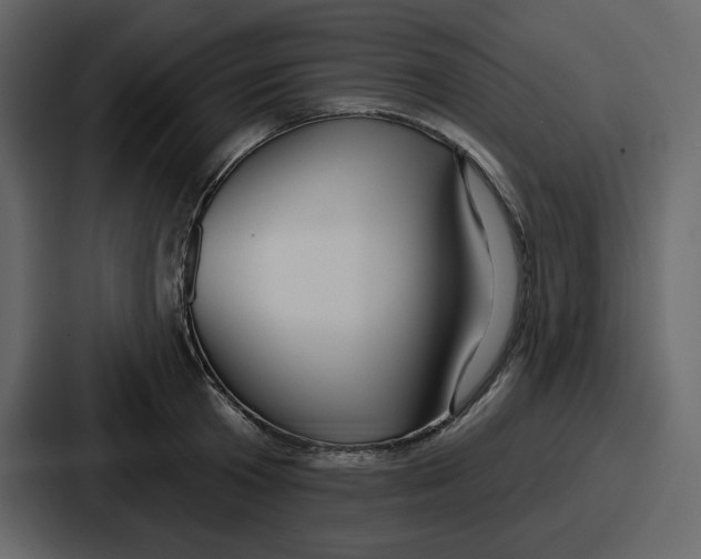 X0000086780801200705111754