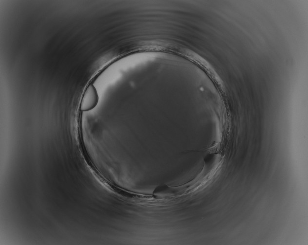 X0000086780802200705111754