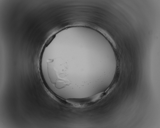 X0000086780805200705111754